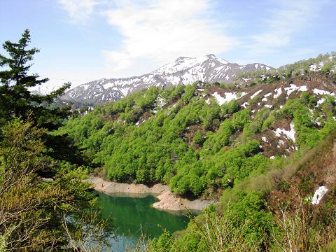 sIMG_0323.jpg