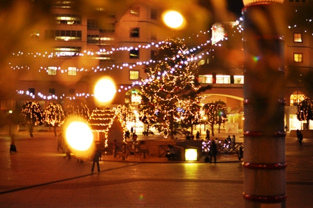 DSC_6770.JPG