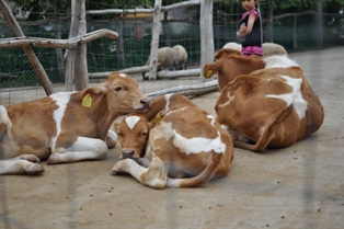 DSC_4087.JPG