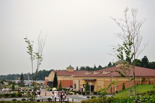 DSC_4105.JPG