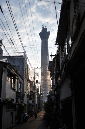 DSC_3742.JPG