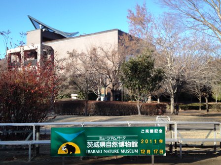 2011_12_17_6779_SN3S0421.JPG
