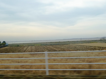 2011_03_06_127_P1010534.JPG