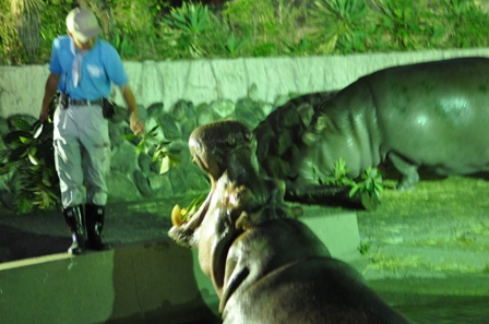 2011_08_07_2100_DSC_9331.JPG