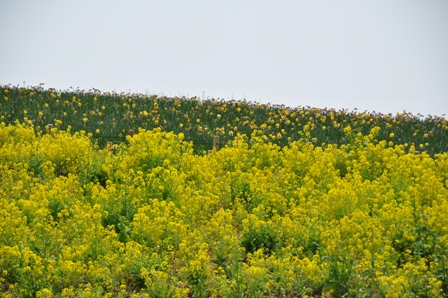 2011_04_10_398_DSC_8074.JPG