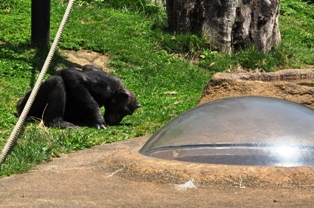 2011_05_08_1106_DSC_8605.JPG