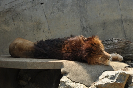 2011_05_08_1179_DSC_8679.JPG