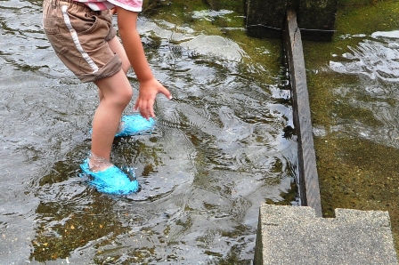 2012_07_15_10310_DSC_4943.JPG