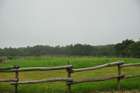 2012_07_15_10419_DSC_5052.JPG