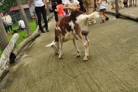 2012_07_15_10475_DSC_5108.JPG
