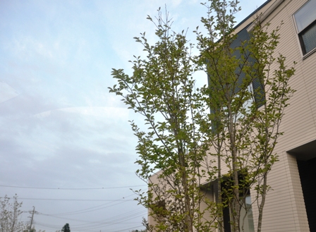 2012_08_10_11477_DSC_5948.JPG