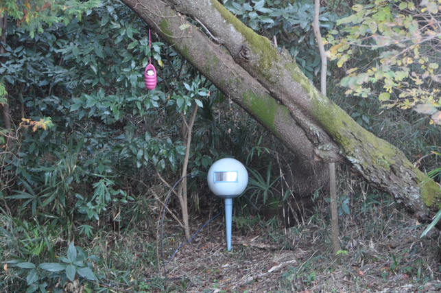 20131123_289.jpg