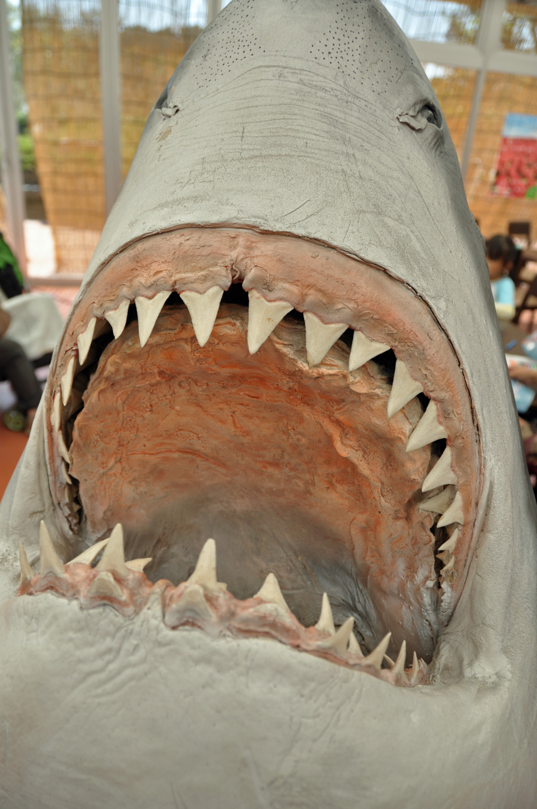 DSC_6765.jpg