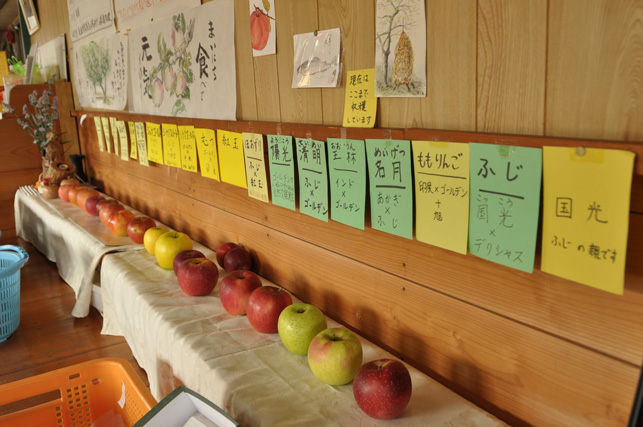 20131103-2671.jpg