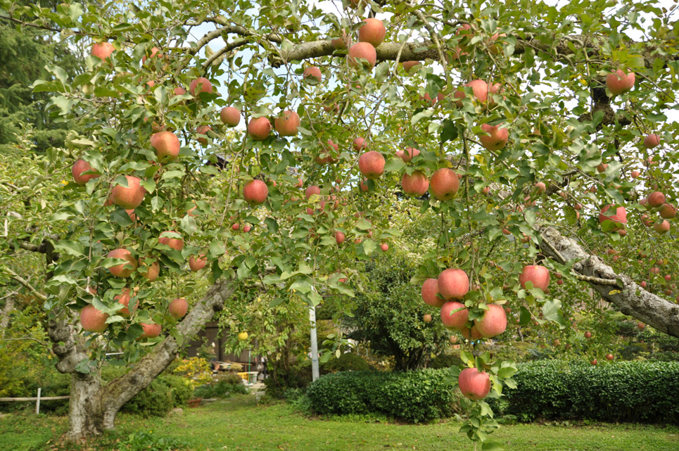 20131103-2673.jpg