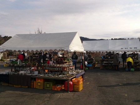 2013-01-05130336.jpg