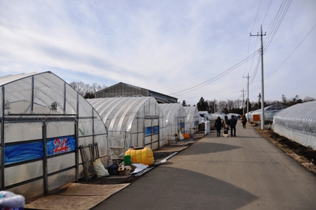 2013_01_05_15757_DSC_9830.JPG