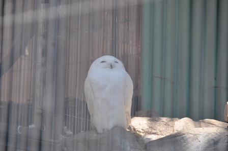 2013_02_10_16493_DSC_0573.JPG