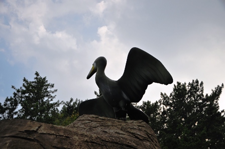 2013_08_10_21694_DSC_5606.JPG