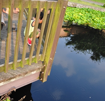 2013_08_10_21720_DSC_5632.JPG