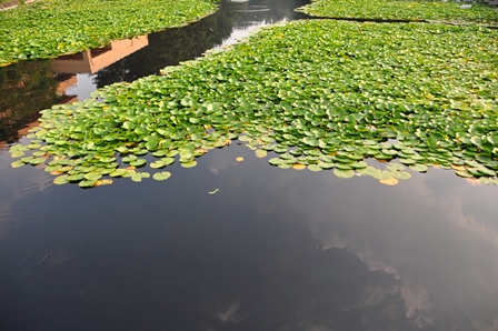 2013_08_10_21726_DSC_5638.JPG