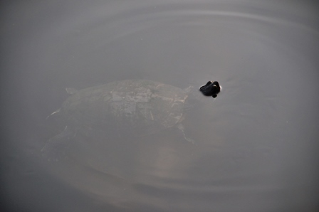 2013_08_10_21735_DSC_5647.JPG