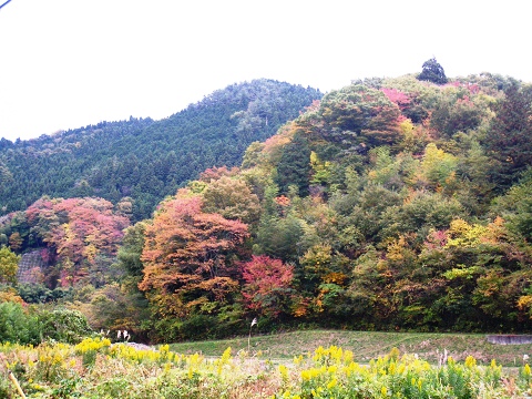 sIMG_2746.jpg