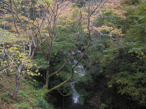 sIMG_2747.jpg