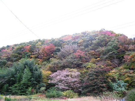 sIMG_2752.jpg