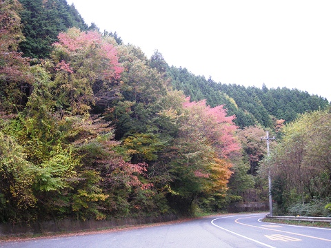 sIMG_2755.jpg