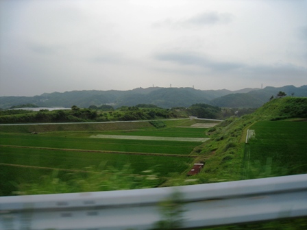 IMG_4862.JPG