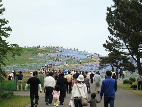sIMG_0410.jpg