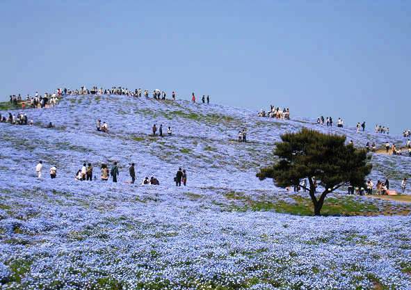 sIMG_0429.jpg