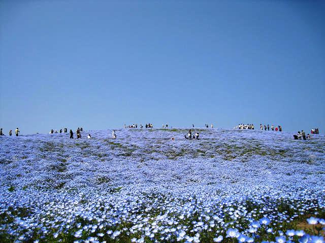 sIMG_0441.jpg