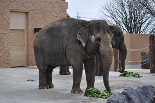 DSC_2720.JPG