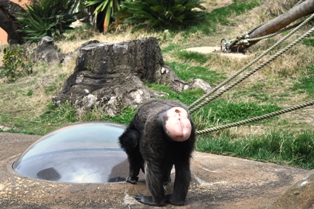 DSC_2746.JPG
