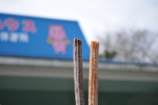 DSC_2765.JPG