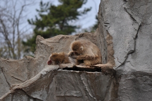 DSC_2787.JPG