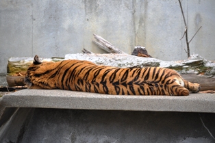 DSC_2792.JPG
