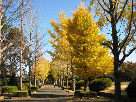 sIMG_2935.jpg