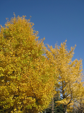 sIMG_2937.jpg