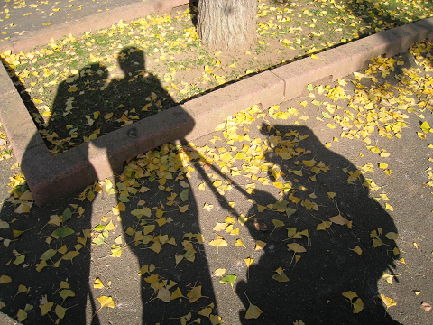 sIMG_2939.jpg