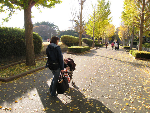 sIMG_2960.jpg