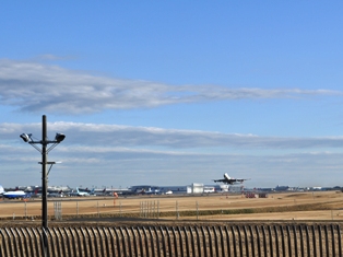 DSC_1198.JPG