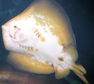 sIMG_3376.jpg