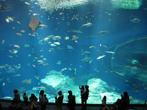 sIMG_3379.jpg