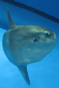 sIMG_3382.jpg