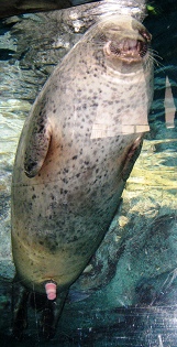 sIMG_3395.jpg