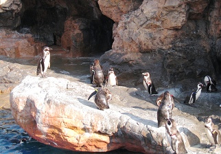 sIMG_3405.jpg