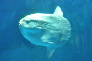 DSC_1315.JPG